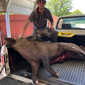 Meet your Posher, Andrew